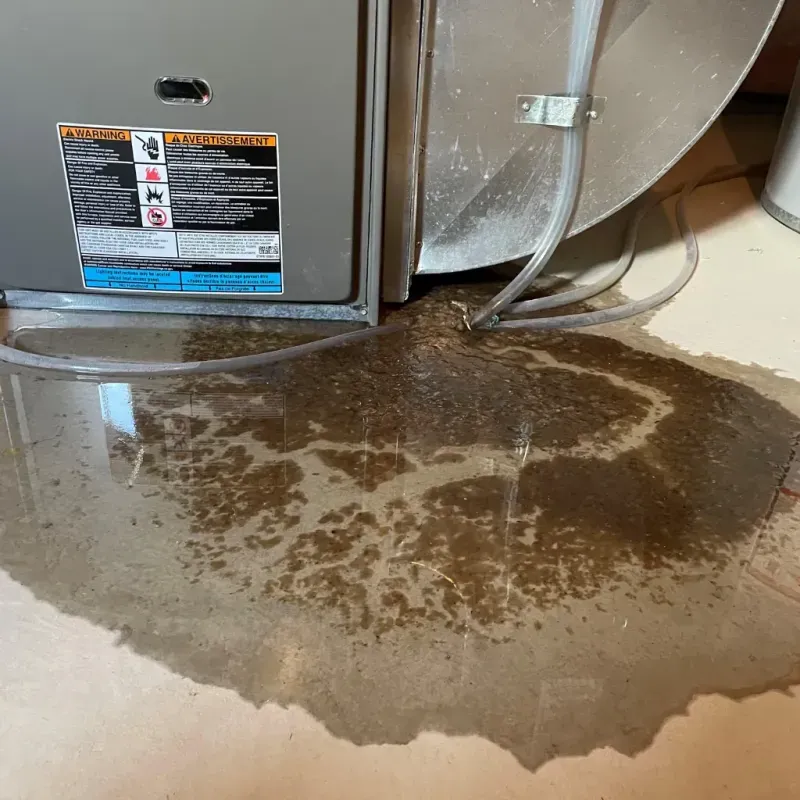 Appliance Leak Cleanup in Akron, IA